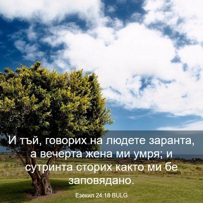 Picture 03 - Езекил 24:18 BULG - И тъй, говорих на людете - Bible Verse Picture
