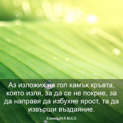 Picture 03 - Езекил 24:8 BULG - Аз изложих на гол камък - Bible Verse Picture