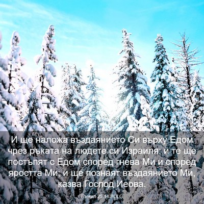 Picture 03 - Езекил 25:14 BULG - И ще наложа въздаянието Си - Bible Verse Picture