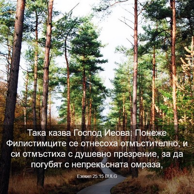 Picture 03 - Езекил 25:15 BULG - Така казва Господ Иеова: - Bible Verse Picture