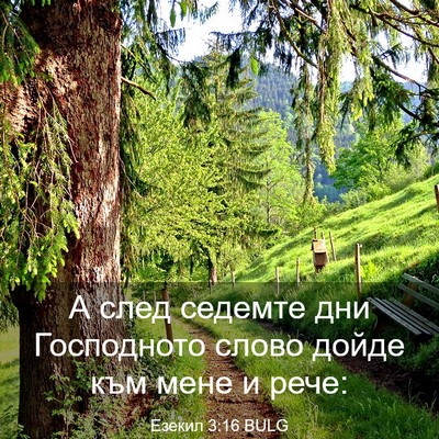 Picture 03 - Езекил 3:16 BULG - А след седемте дни - Bible Verse Picture