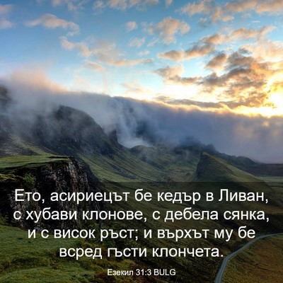 Picture 03 - Езекил 31:3 BULG - Ето, асириецът бе кедър в - Bible Verse Picture
