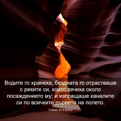 Picture 03 - Езекил 31:4 BULG - Водите го хранеха, - Bible Verse Picture
