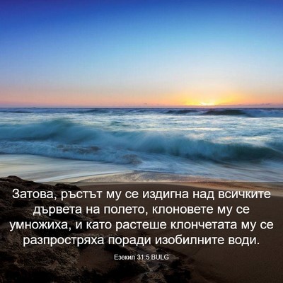 Picture 03 - Езекил 31:5 BULG - Затова, ръстът му се - Bible Verse Picture