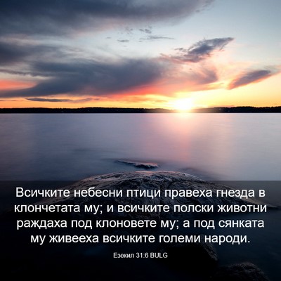 Picture 03 - Езекил 31:6 BULG - Всичките небесни птици - Bible Verse Picture