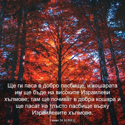 Picture 03 - Езекил 34:14 BULG - Ще ги паса в добро пасбище, - Bible Verse Picture