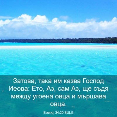 Picture 03 - Езекил 34:20 BULG - Затова, така им казва - Bible Verse Picture