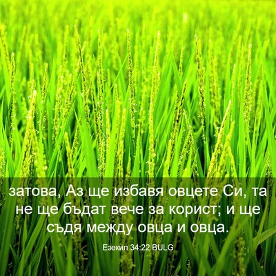 Picture 03 - Езекил 34:22 BULG - затова, Аз ще избавя овцете - Bible Verse Picture