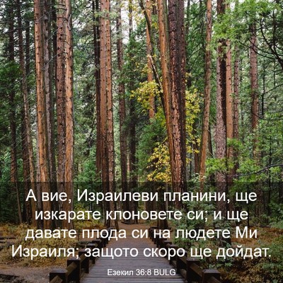 Picture 03 - Езекил 36:8 BULG - А вие, Израилеви планини, - Bible Verse Picture