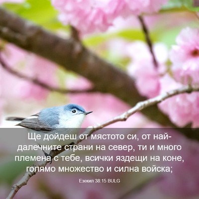 Picture 03 - Езекил 38:15 BULG - Ще дойдеш от мястото си, от - Bible Verse Picture