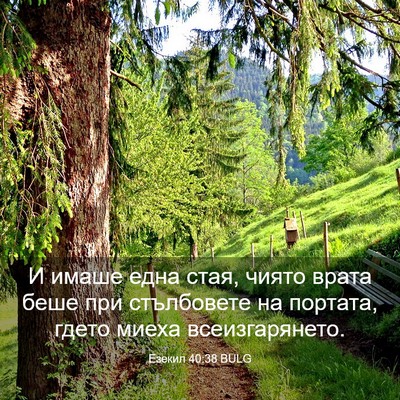 Picture 03 - Езекил 40:38 BULG - И имаше една стая, чиято - Bible Verse Picture