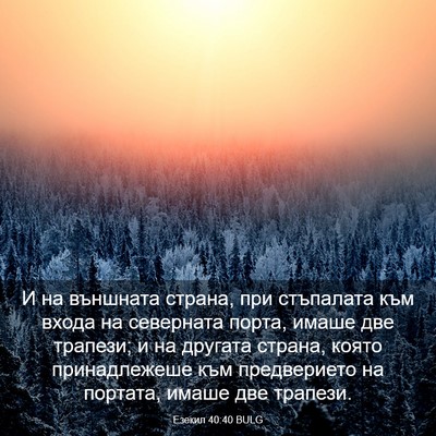 Picture 03 - Езекил 40:40 BULG - И на външната страна, при - Bible Verse Picture