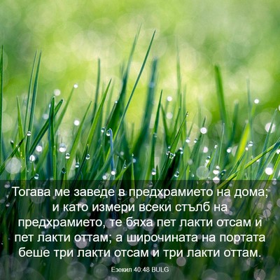 Picture 03 - Езекил 40:48 BULG - Тогава ме заведе в - Bible Verse Picture