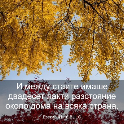 Picture 03 - Езекил 41:10 BULG - И между стаите имаше - Bible Verse Picture