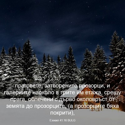 Picture 03 - Езекил 41:16 BULG - праговете, затворените - Bible Verse Picture