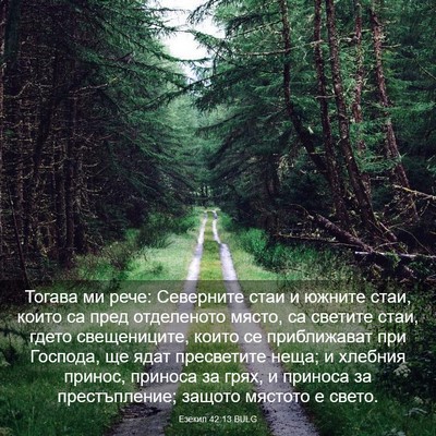 Picture 03 - Езекил 42:13 BULG - Тогава ми рече: Северните - Bible Verse Picture