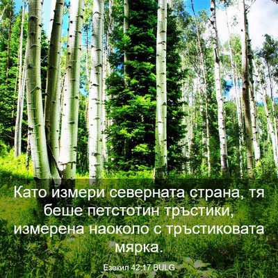 Picture 03 - Езекил 42:17 BULG - Като измери северната - Bible Verse Picture