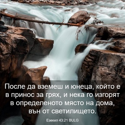 Picture 03 - Езекил 43:21 BULG - После да вземеш и юнеца, - Bible Verse Picture