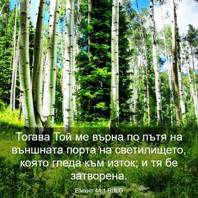 Picture 03 - Езекил 44:1 BULG - Тогава Той ме върна по пътя - Bible Verse Picture