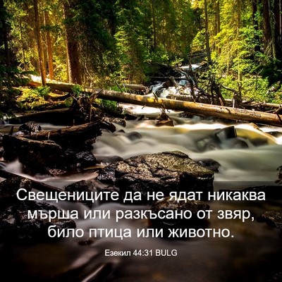 Picture 03 - Езекил 44:31 BULG - Свещениците да не ядат - Bible Verse Picture