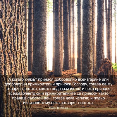 Picture 03 - Езекил 46:12 BULG - А когато князът принася - Bible Verse Picture