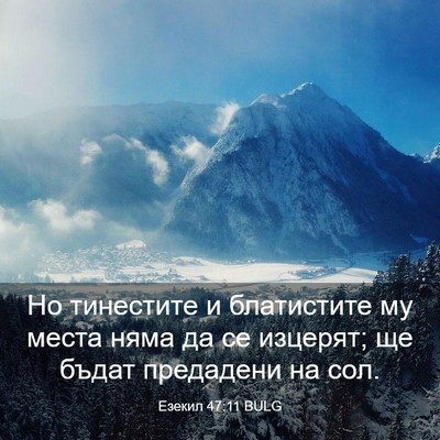Picture 03 - Езекил 47:11 BULG - Но тинестите и блатистите - Bible Verse Picture