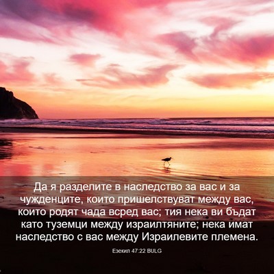 Picture 03 - Езекил 47:22 BULG - Да я разделите в - Bible Verse Picture