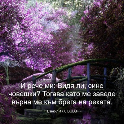 Picture 03 - Езекил 47:6 BULG - И рече ми: Видя ли, сине - Bible Verse Picture
