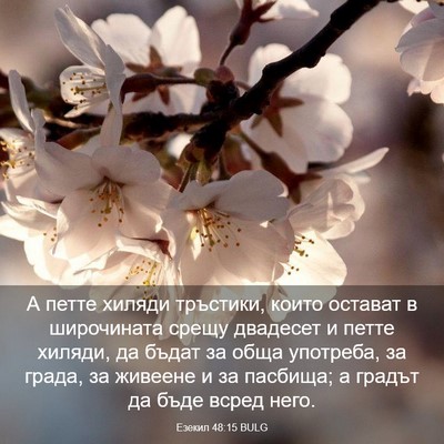 Picture 03 - Езекил 48:15 BULG - А петте хиляди тръстики, - Bible Verse Picture