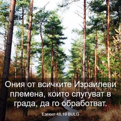 Picture 03 - Езекил 48:19 BULG - Ония от всичките Израилеви - Bible Verse Picture