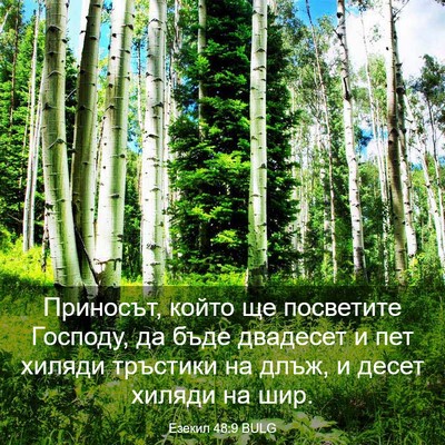 Picture 03 - Езекил 48:9 BULG - Приносът, който ще - Bible Verse Picture