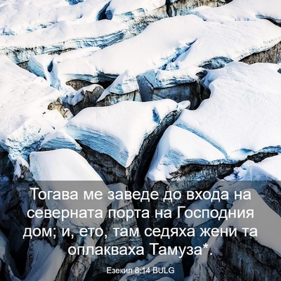 Picture 03 - Езекил 8:14 BULG - Тогава ме заведе до входа - Bible Verse Picture
