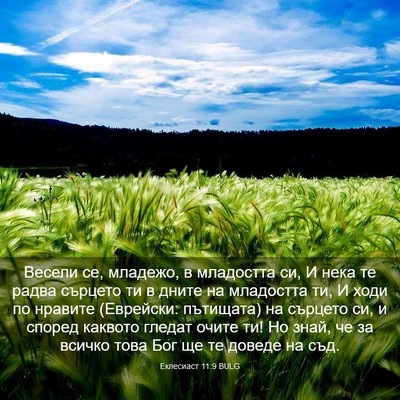 Picture 03 - Еклесиаст 11:9 BULG - Весели се, младежо, в - Bible Verse Picture