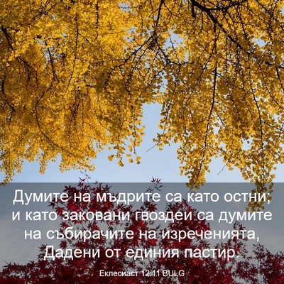Picture 03 - Еклесиаст 12:11 BULG - Думите на мъдрите са като - Bible Verse Picture