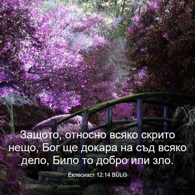 Picture 03 - Еклесиаст 12:14 BULG - Защото, относно всяко - Bible Verse Picture