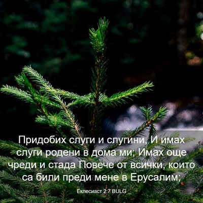 Picture 03 - Еклесиаст 2:7 BULG - Придобих слуги и слугини, И - Bible Verse Picture