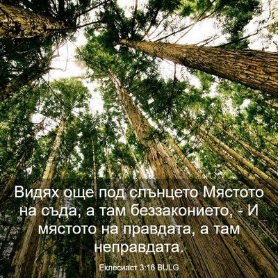 Picture 03 - Еклесиаст 3:16 BULG - Видях още под слънцето - Bible Verse Picture