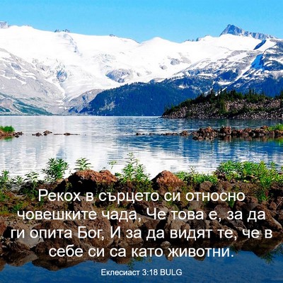 Picture 03 - Еклесиаст 3:18 BULG - Рекох в сърцето си относно - Bible Verse Picture