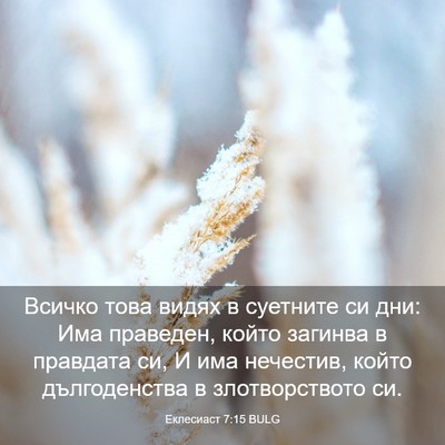 Picture 03 - Еклесиаст 7:15 BULG - Всичко това видях в - Bible Verse Picture