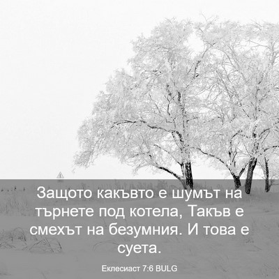 Picture 03 - Еклесиаст 7:6 BULG - Защото какъвто е шумът на - Bible Verse Picture