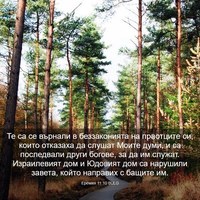 Picture 03 - Еремия 11:10 BULG - Те са се върнали в - Bible Verse Picture