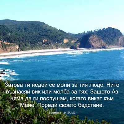 Picture 03 - Еремия 11:14 BULG - Затова ти недей се моли за - Bible Verse Picture