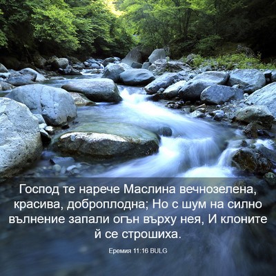 Picture 03 - Еремия 11:16 BULG - Господ те нарече Маслина - Bible Verse Picture