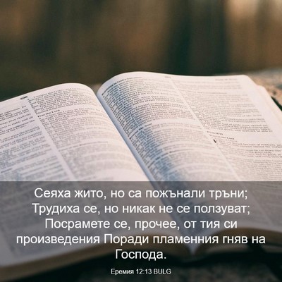 Picture 03 - Еремия 12:13 BULG - Сеяха жито, но са пожънали - Bible Verse Picture