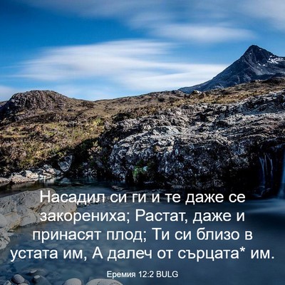 Picture 03 - Еремия 12:2 BULG - Насадил си ги и те даже се - Bible Verse Picture