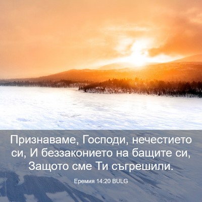 Picture 03 - Еремия 14:20 BULG - Признаваме, Господи, - Bible Verse Picture