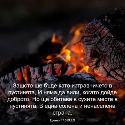Picture 03 - Еремия 17:6 BULG - Защото ще бъде като - Bible Verse Picture