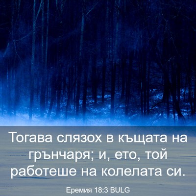 Picture 03 - Еремия 18:3 BULG - Тогава слязох в къщата на - Bible Verse Picture
