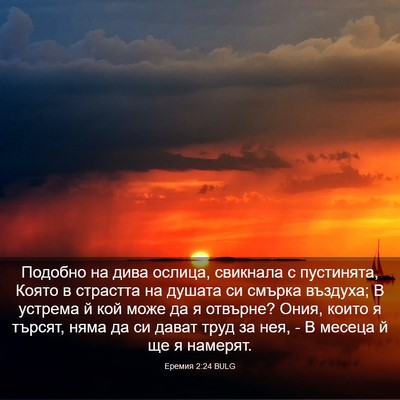 Picture 03 - Еремия 2:24 BULG - Подобно на дива ослица, - Bible Verse Picture