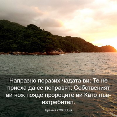Picture 03 - Еремия 2:30 BULG - Напразно поразих чадата - Bible Verse Picture